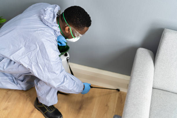 Professional Pest Control in Sherwood Manor, CT